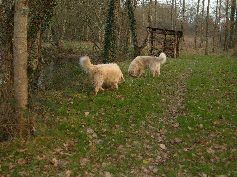 Ulia de la Vallée de la Garde